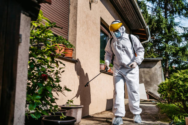 Best Cockroach Control Services  in Cashton, WI