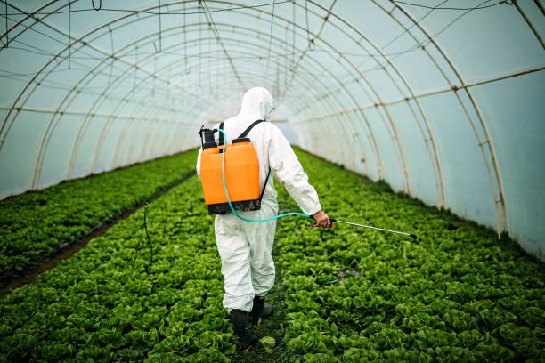 Insect Control in Cashton, WI