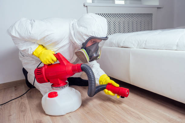 Best Mosquito Control Services  in Cashton, WI
