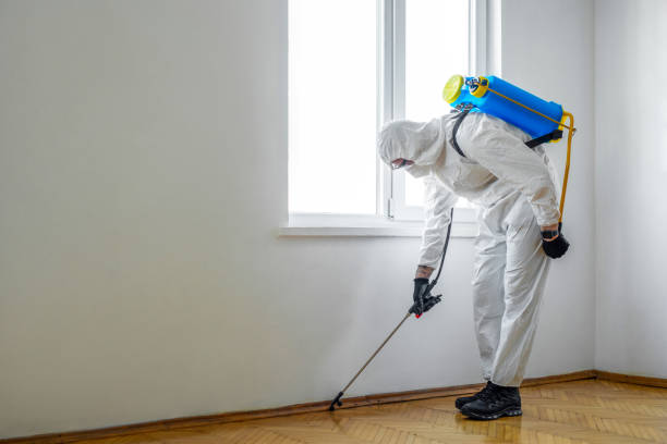 Reliable Cashton, WI Pest Control Solutions