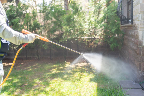 Best Wasp Removal Services  in Cashton, WI