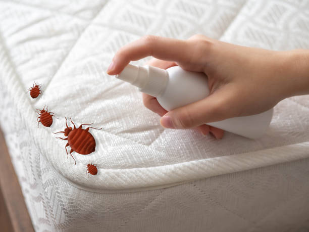Reliable Cashton, WI Pest Control Solutions